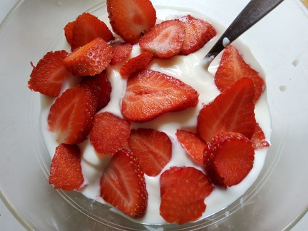 frische Erdbeeren auf Joghurt